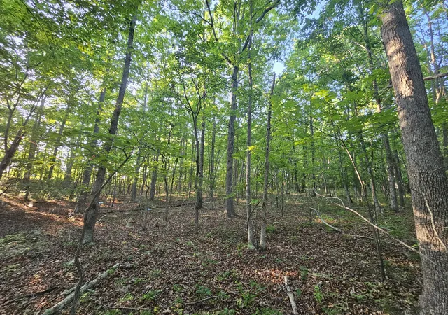 Homes for sale in Altamont, TN | 10 Griswold Road, Altamont, TN 37301 | MLS# 3134043