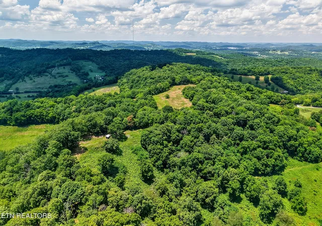 58th image of 99 Judkins Lane, Hickman, TN 38567 | MLS# 3134169