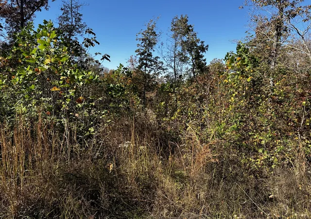 Photo 2 of Land for sale at 0 Ridge Top Rd, Stewart, TN 37175 | MLS# 3135639 | Listing updated on 2026-03-01