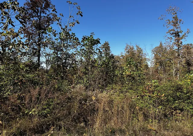 Photo 3 of Land for sale at 0 Ridge Top Rd, Stewart, TN 37175 | MLS# 3135639 | Listing updated on 2026-03-01