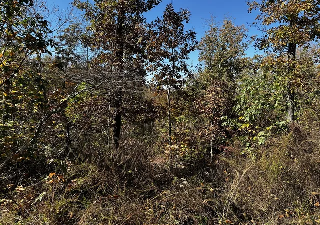 Photo 1 of Land for sale at 0 Ridge Top Rd, Stewart, TN 37175 | MLS# 3135639 | Listing updated on 2026-03-01