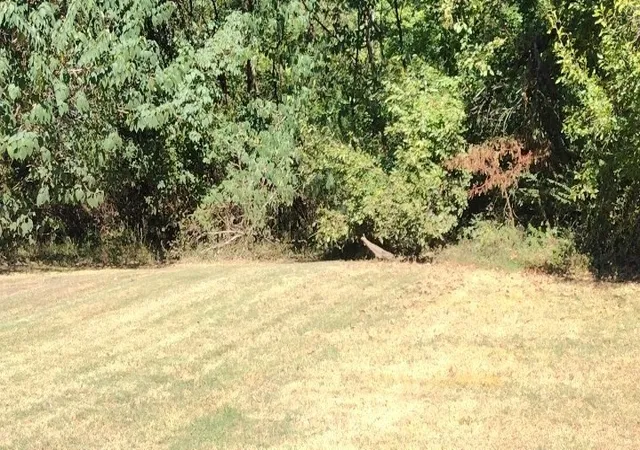 Land for sale at 0 West 3rd St, Columbia, TN 38401 | MLS# 3145109