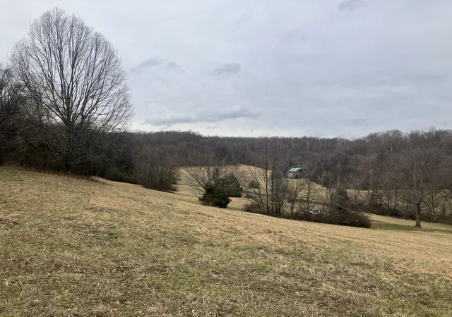 Photo 3 of Land for sale at 12 Booker Ridge Rd, Mount Pleasant, TN 38474 | MLS# 3134920 | Listing updated on 2026-02-24