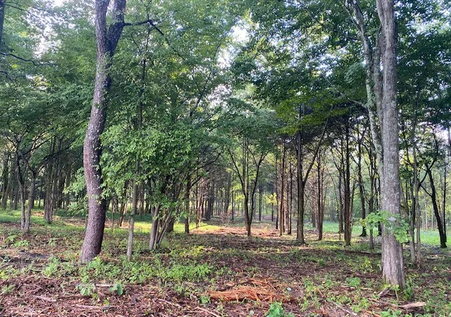 4th image of 7870 Bill Moss Rd, White House, TN 37188 | MLS# 3135323