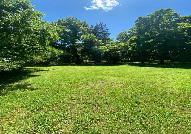 Photo 2 of Land for sale at 0 Grapevine Ave, Madison, TN 37115 | MLS# 3135650 | Listing updated on 2026-07-06