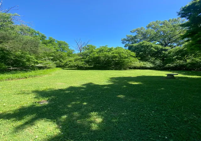 Photo 4 of Land for sale at 0 Grapevine Ave, Madison, TN 37115 | MLS# 3135650 | Listing updated on 2026-07-06