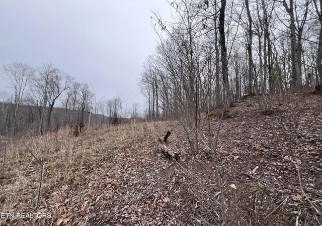 Homes for sale in Jamestown, TN | 0 Lot 62 Apache Rd, Jamestown, TN 38556 | MLS# 3135380