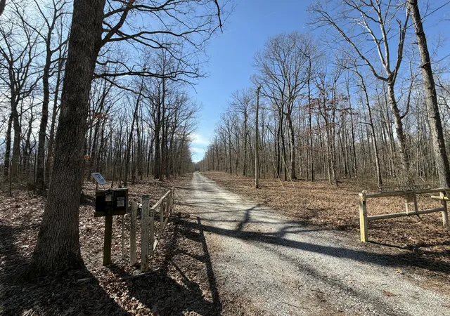 Homes for sale in Altamont, TN | 4872 Deer Run Road, Altamont, TN 37301 | MLS# 3269783