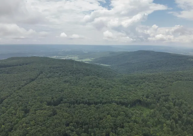 2nd image of 4872 Deer Run Road, Altamont, TN 37301 | MLS# 3269783