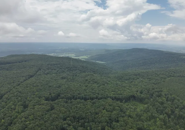 57th image of 4872 Deer Run Road, Altamont, TN 37301 | MLS# 3269783