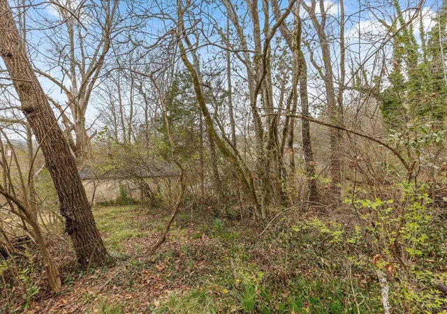 29th image of 0 Berkley Dr, Chattanooga, TN 37415 | MLS# 3338487