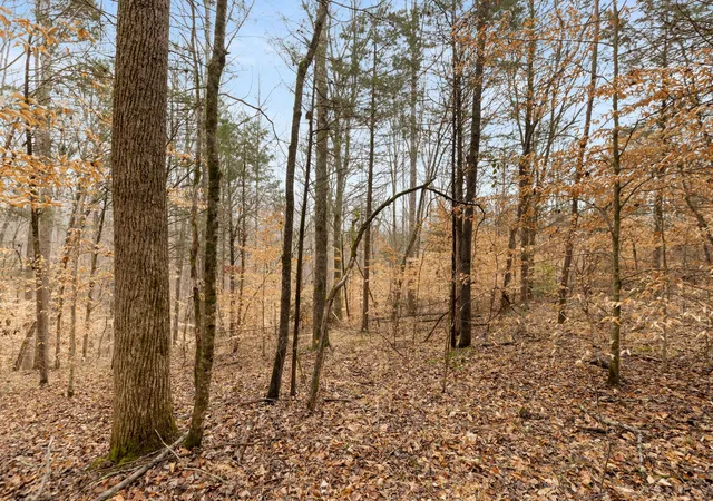 3rd image of 0 Griffintown Road, White Bluff, TN 37187 | MLS# 3153167