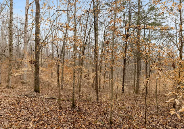 4th image of 0 Griffintown Road, White Bluff, TN 37187 | MLS# 3153167