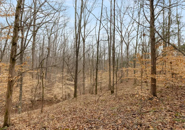 5th image of 0 Griffintown Road, White Bluff, TN 37187 | MLS# 3153167