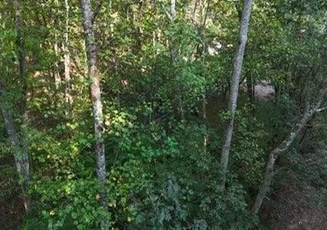 Homes for sale in Georgetown, TN | 0 Lower River Road Nw, Georgetown, TN 37336 | MLS# 3248742