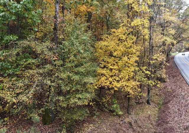 Homes for sale in Georgetown, TN | 0 Lower River Road Nw, Georgetown, TN 37336 | MLS# 3248742