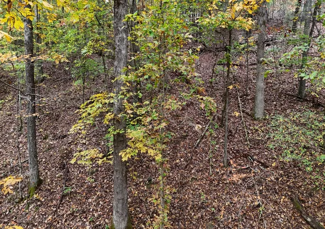 Homes for sale in Georgetown, TN | 0 Lower River Road Nw, Georgetown, TN 37336 | MLS# 3248742