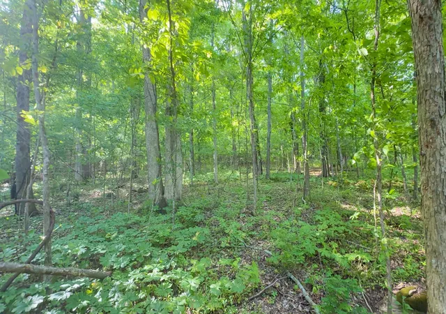 5th image of 140 Ben Johnson Rd, Pulaski, TN 38478 | MLS# 3136067