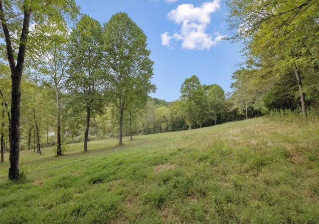2nd image of 0 Funn Branch Road, Gainesboro, TN 38562 | MLS# 3138441