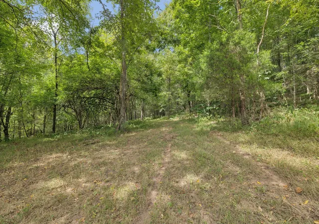 3rd image of 0 Funn Branch Road, Gainesboro, TN 38562 | MLS# 3138441