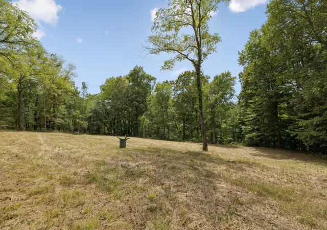 4th image of 0 Funn Branch Road, Gainesboro, TN 38562 | MLS# 3138441