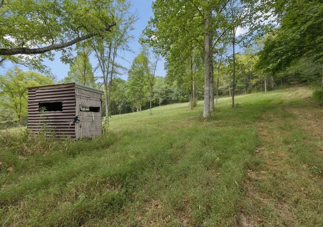5th image of 0 Funn Branch Road, Gainesboro, TN 38562 | MLS# 3138441