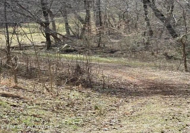 Photo 2 of Land for sale at 809 State Hwy 310, Englewood, TN 37329 | MLS# 3593352 | Listing updated on 2026-09-21