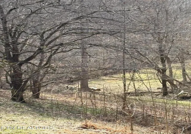 Photo 3 of Land for sale at 809 State Hwy 310, Englewood, TN 37329 | MLS# 3593352 | Listing updated on 2026-09-21