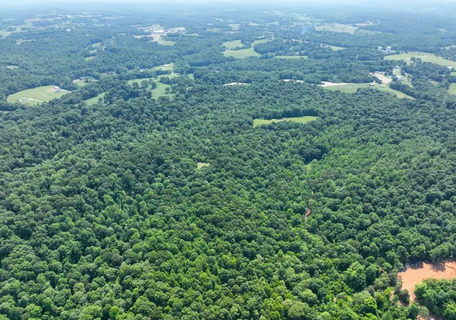 4th image of 3830 Vernon Creek, Cunningham, TN 37052 | MLS# 3136287