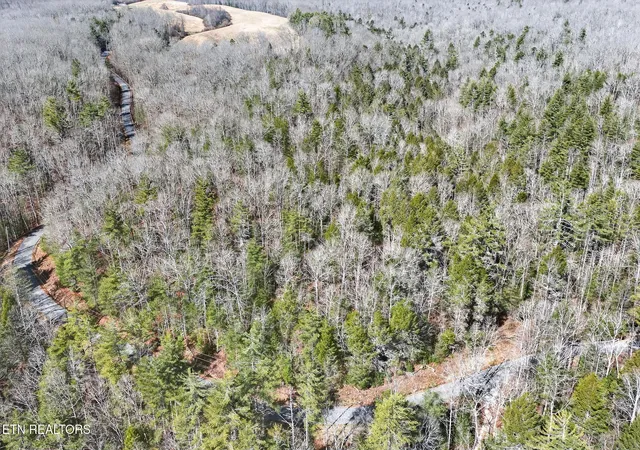 Photo 3 of Land for sale at 606 Dogwood Rd, Grandview, TN 37337 | MLS# 3136297 | Listing updated on 2026-09-05