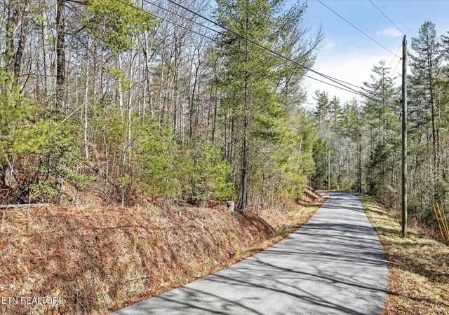 1st image of 0 Dogwood Rd, Grandview, TN 37337 | MLS# 3136297