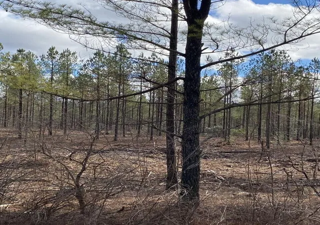 Photo 2 of Land for sale at 5 Thomas Springs Rd, Crossville, TN 38572 | MLS# 3136404 | Listing updated on 2026-05-15