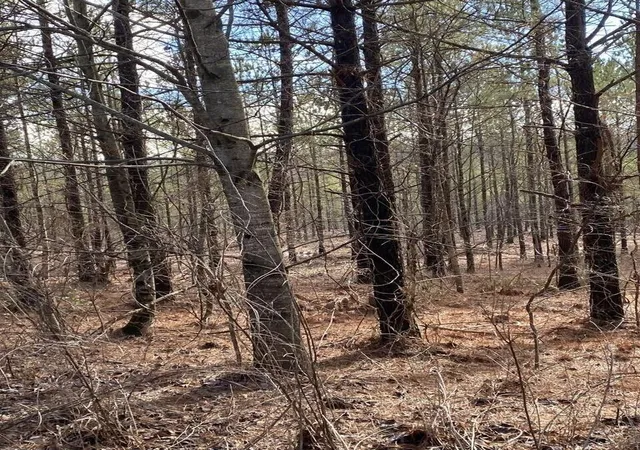 Photo 3 of Land for sale at 5 Thomas Springs Rd, Crossville, TN 38572 | MLS# 3136404 | Listing updated on 2026-05-15
