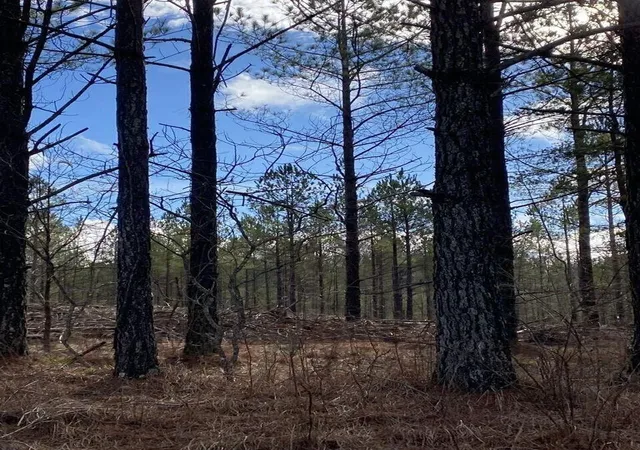 Photo 3 of Land for sale at 5 Thomas Springs Rd, Crossville, TN 38572 | MLS# 3136404 | Listing updated on 2026-05-15