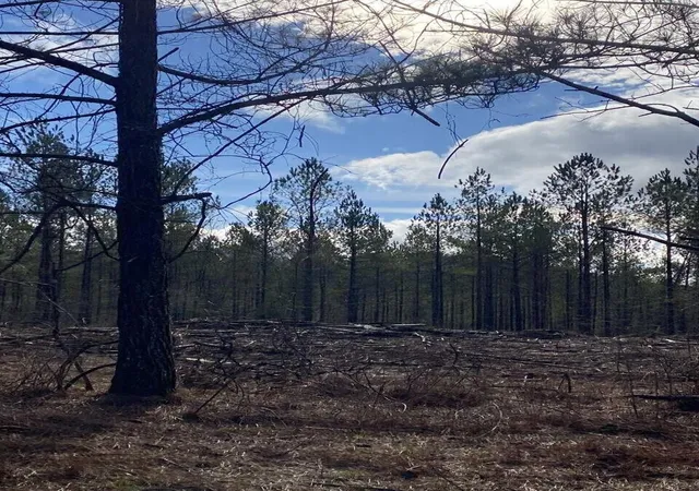 Photo 1 of Land for sale at 5 Thomas Springs Rd, Crossville, TN 38572 | MLS# 3136404 | Listing updated on 2026-05-15