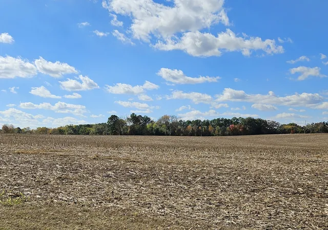 11th image of 2400 Sportsman Lake Road, Franklin, KY 42134 | MLS# 3144955