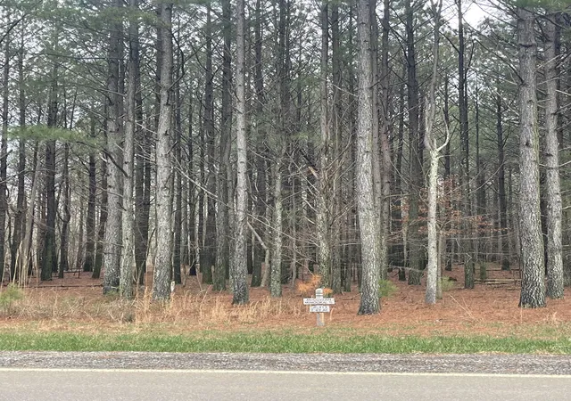 Photo 3 of Land for sale at 0 Crockett Pointe, Jasper, TN 37347 | MLS# 3147662 | Listing updated on 2026-08-31