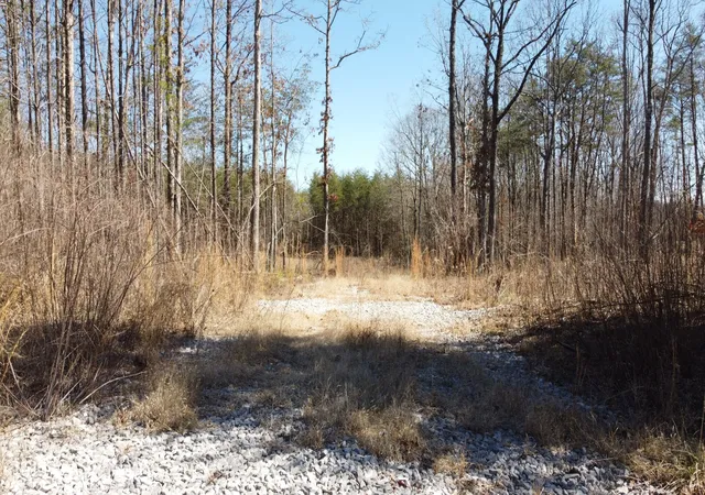 1st image of 0 Rolling Hills Dr, Spencer, TN 38585 | MLS# 3136653