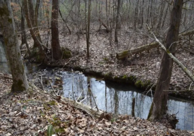 1st image of 0 Boles Road, Hilham, TN 38568 | MLS# 3136658