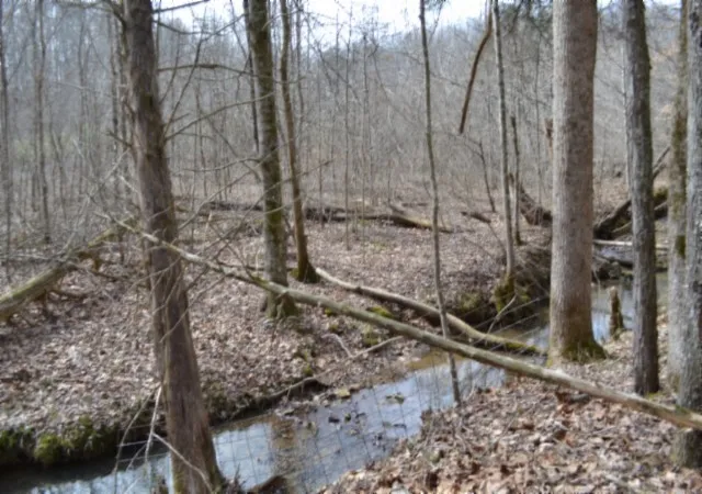 3rd image of 0 Boles Road, Hilham, TN 38568 | MLS# 3136658