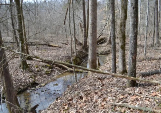 4th image of 0 Boles Road, Hilham, TN 38568 | MLS# 3136658