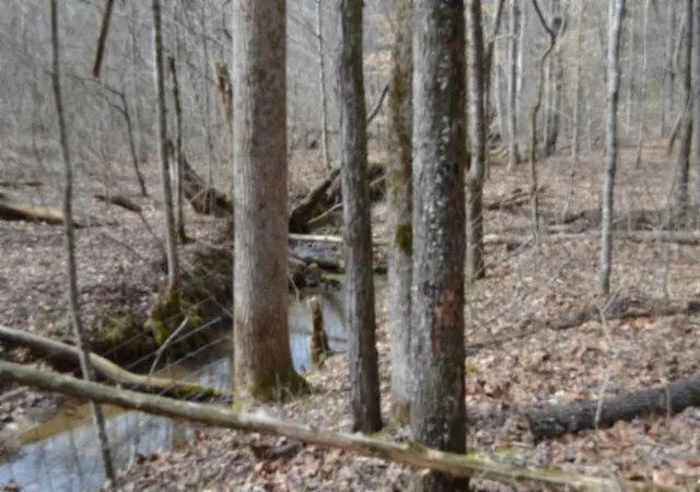 5th image of 0 Boles Road, Hilham, TN 38568 | MLS# 3136658