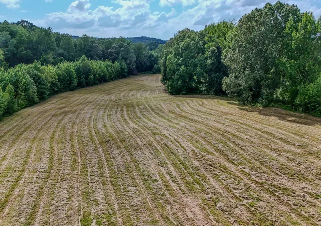 Homes for sale in Decaturville, TN | 835 Mount Zion Rd, Decaturville, TN 38329 | MLS# 3136703