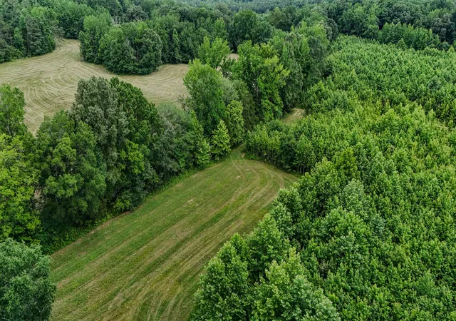 1st image of 835 Mount Zion Rd, Decaturville, TN 38329 | MLS# 3136703