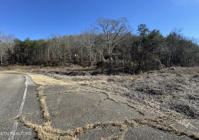 5th image of 0 Scott Hwy, Helenwood, TN 37755 | MLS# 3521039