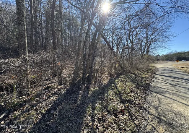 10th image of 0 Scott Hwy, Helenwood, TN 37755 | MLS# 3521039