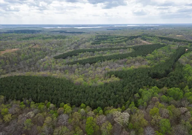 Homes for sale in Dover, TN | 0 Hwy 232, Dover, TN 37058 | MLS# 3148388