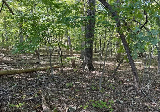 1st image of 411412 Smith Road, Spring City, TN 37381 | MLS# 3304318