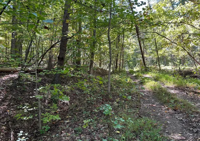 1st image of 412 Smith Road, Spring City, TN 37381 | MLS# 3304321