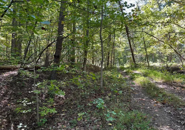 2nd image of 412 Smith Road, Spring City, TN 37381 | MLS# 3304321